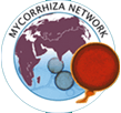 MYCORRHIZA NETWORK